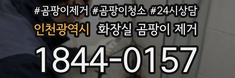 인천광역시 화장실 곰팡이 제거