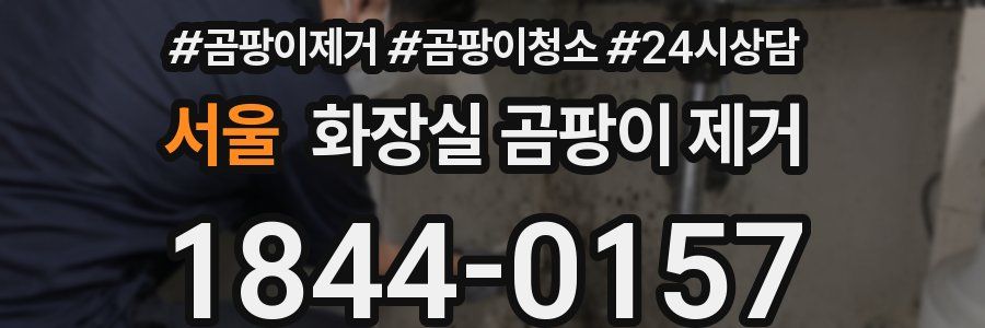 서울 화장실 곰팡이 제거