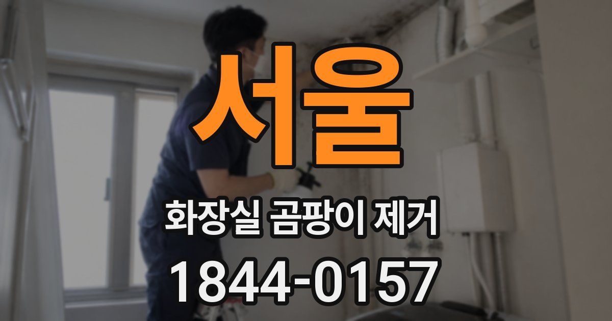 서울 화장실 곰팡이 제거