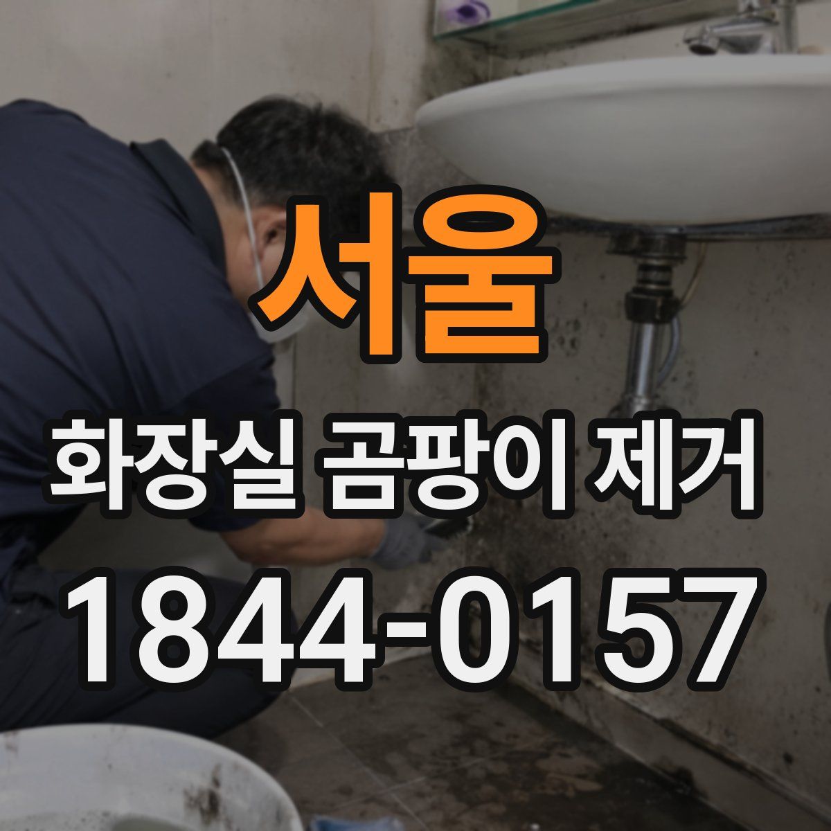 서울 화장실 곰팡이 제거