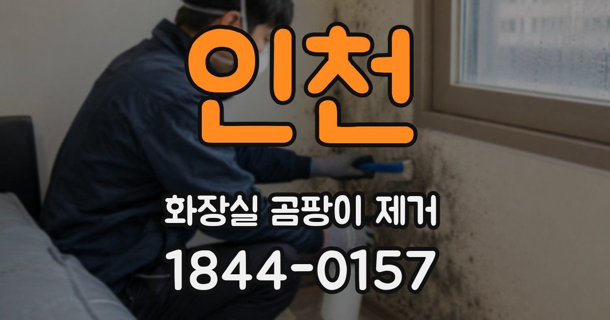 인천 화장실 곰팡이 제거