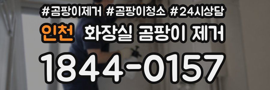 인천 화장실 곰팡이 제거
