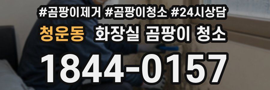 청운동 화장실 곰팡이 청소
