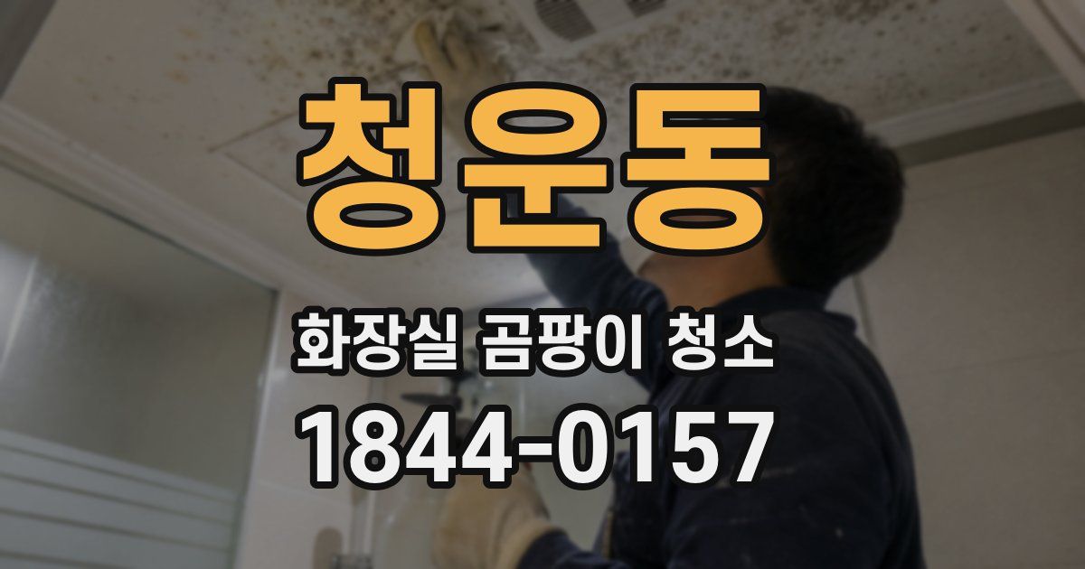 청운동 화장실 곰팡이 청소