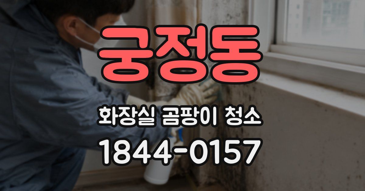 궁정동 화장실 곰팡이 청소