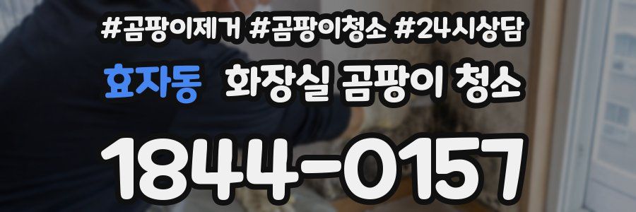 효자동 화장실 곰팡이 청소
