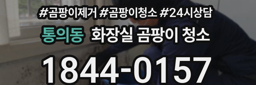 통의동 화장실 곰팡이 청소