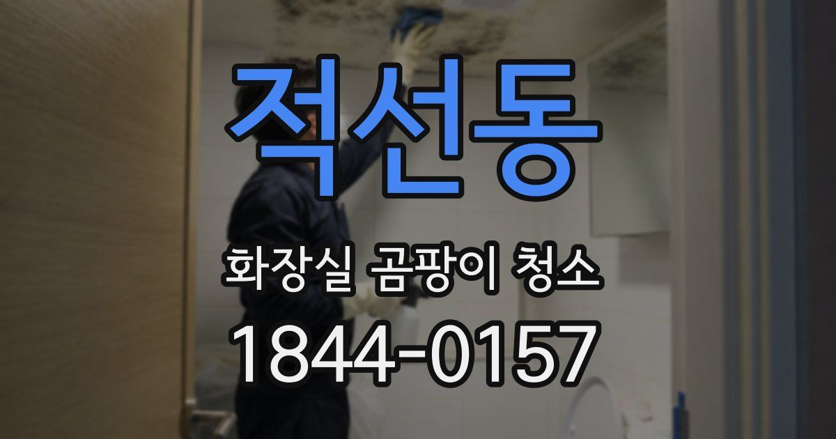 적선동 화장실 곰팡이 청소