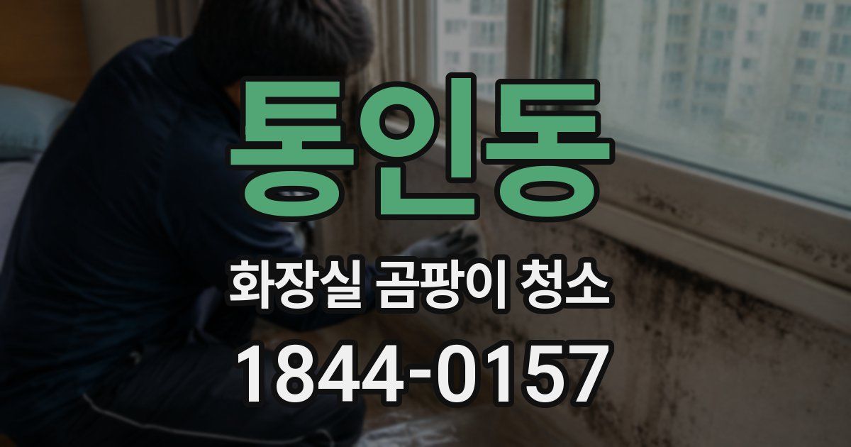 통인동 화장실 곰팡이 청소
