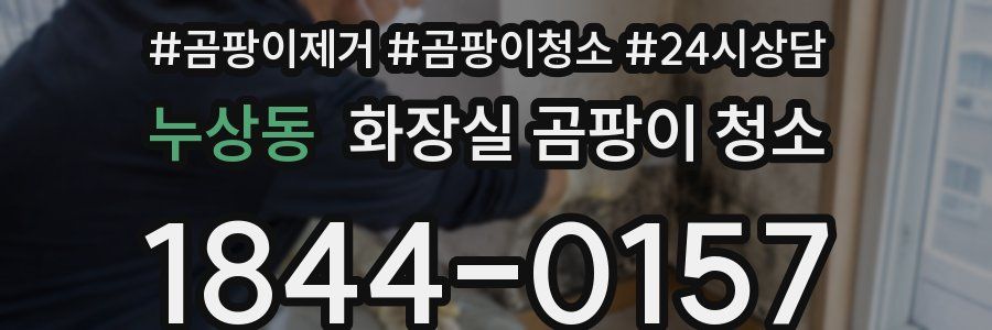 누상동 화장실 곰팡이 청소