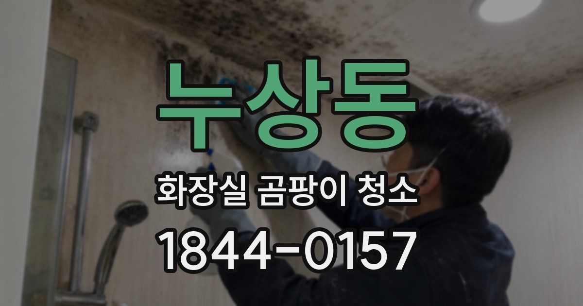 누상동 화장실 곰팡이 청소
