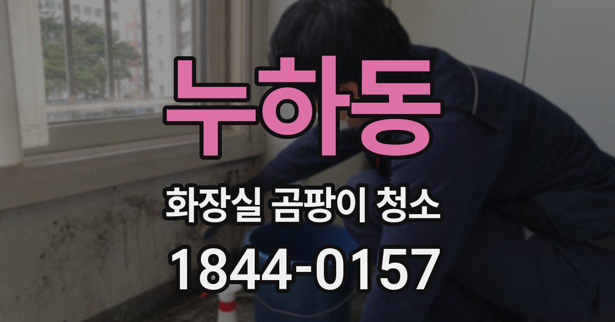 누하동 화장실 곰팡이 청소