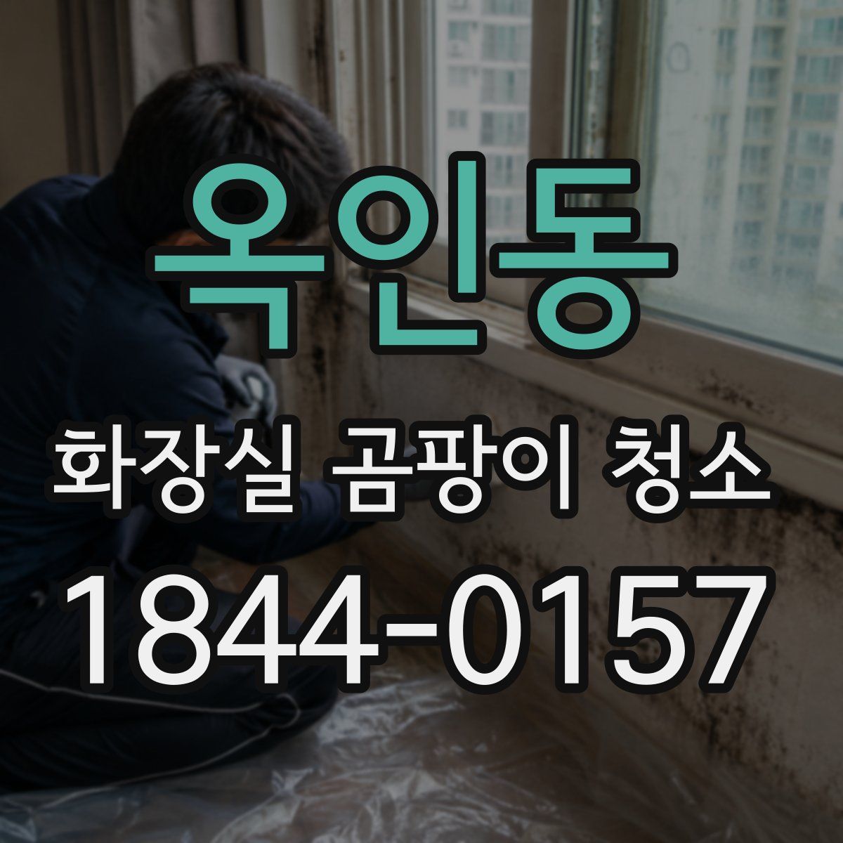 옥인동 화장실 곰팡이 청소