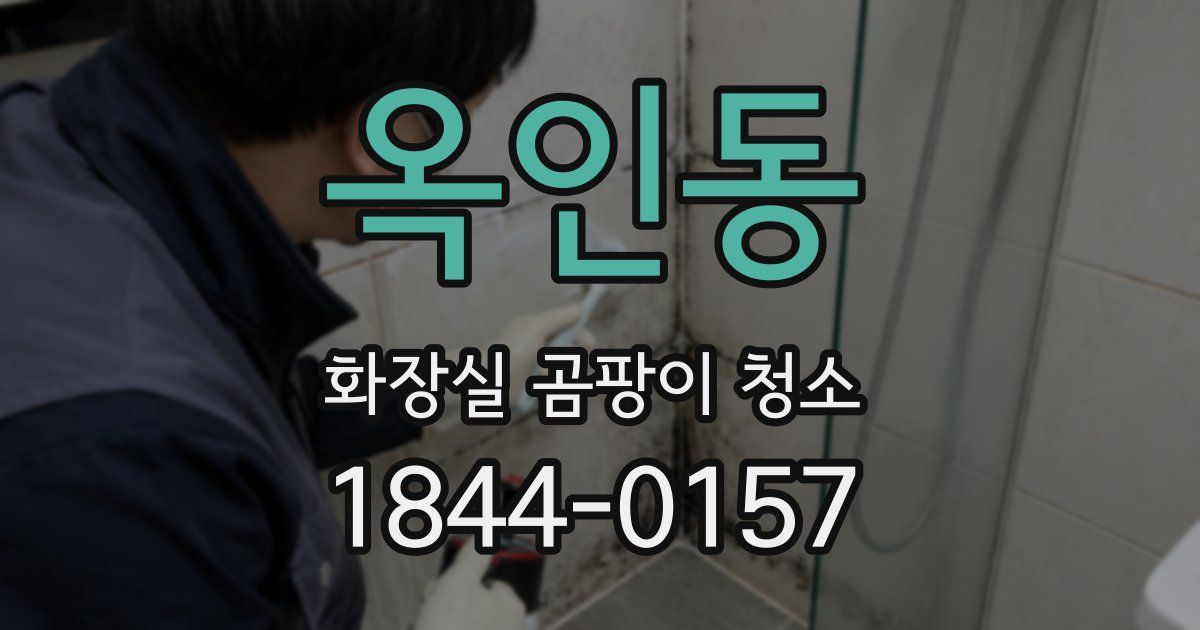 옥인동 화장실 곰팡이 청소