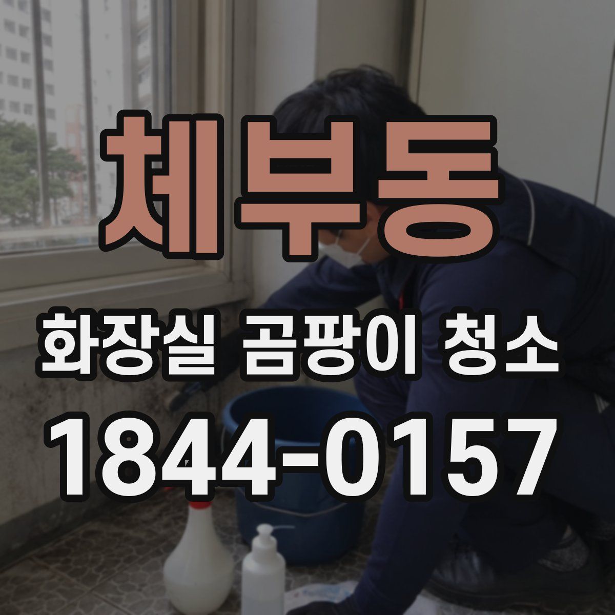 체부동 화장실 곰팡이 청소