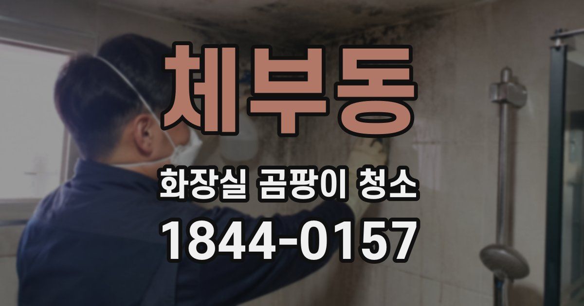 체부동 화장실 곰팡이 청소