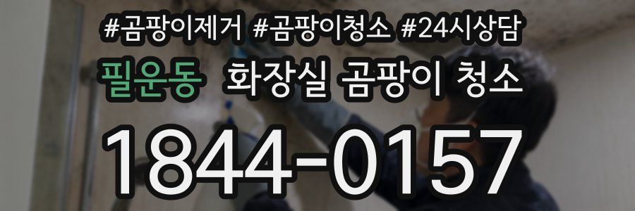 필운동 화장실 곰팡이 청소
