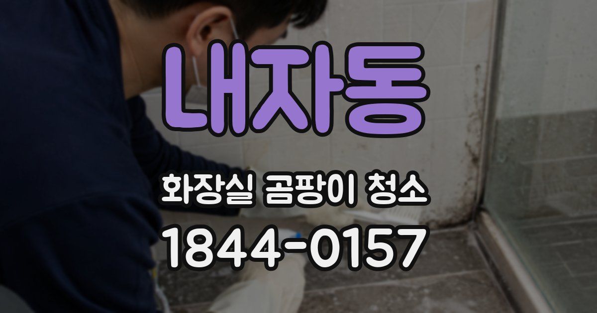 내자동 화장실 곰팡이 청소