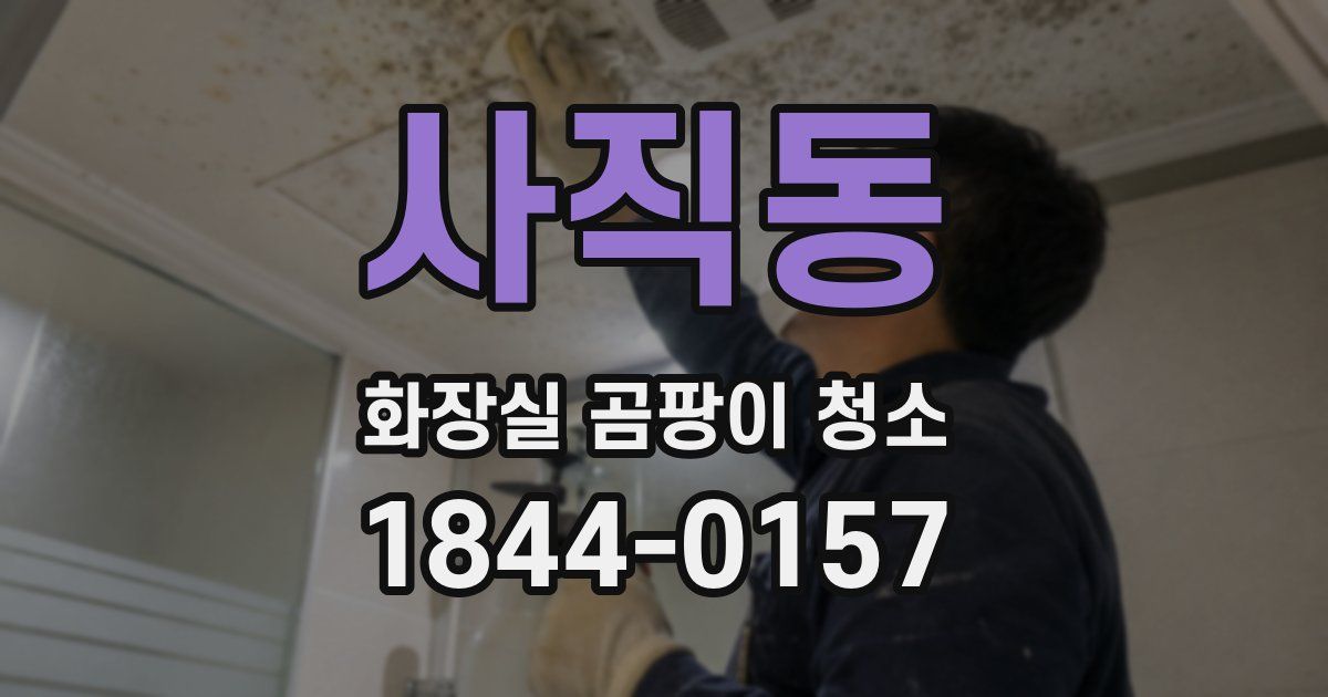 사직동 화장실 곰팡이 청소
