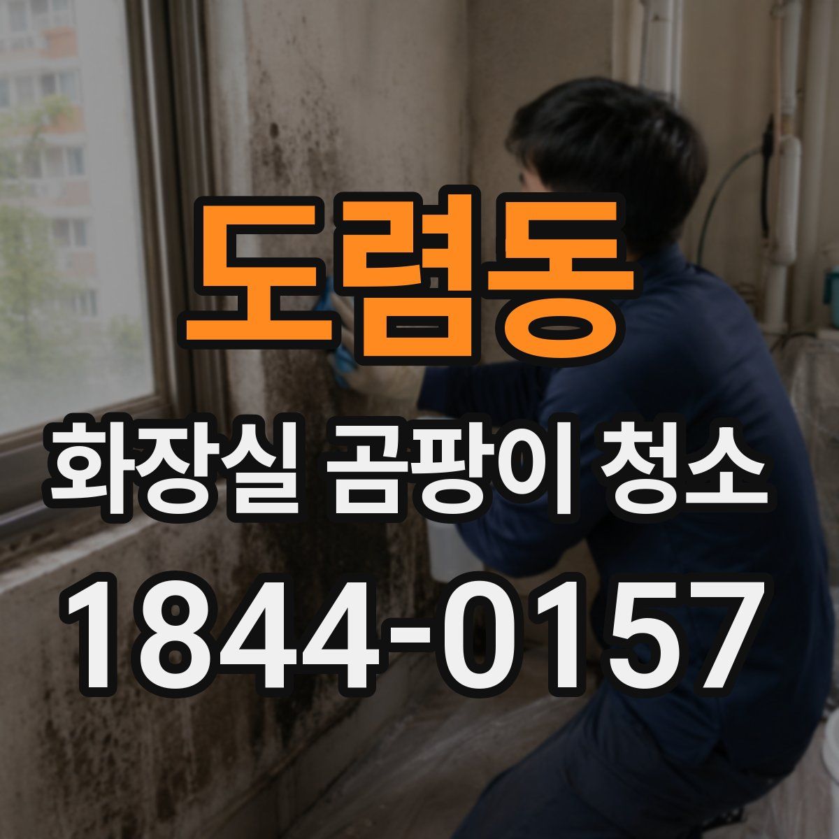 도렴동 화장실 곰팡이 청소