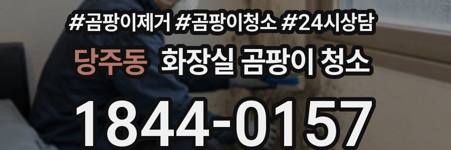 당주동 화장실 곰팡이 청소