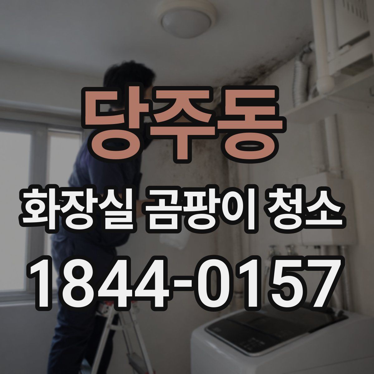 당주동 화장실 곰팡이 청소