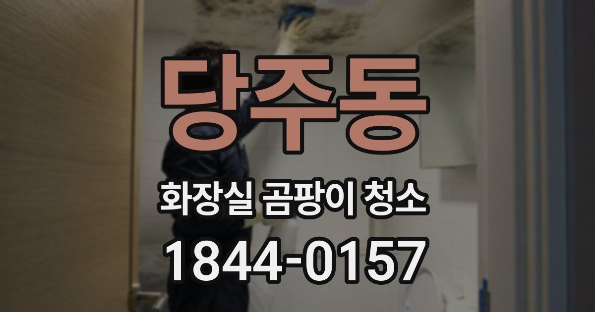 당주동 화장실 곰팡이 청소