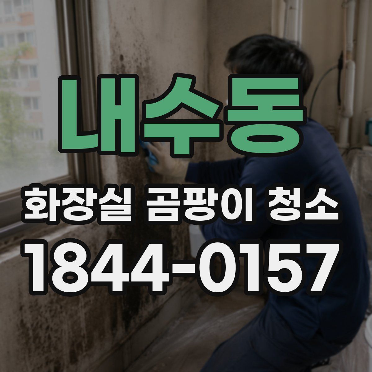 내수동 화장실 곰팡이 청소