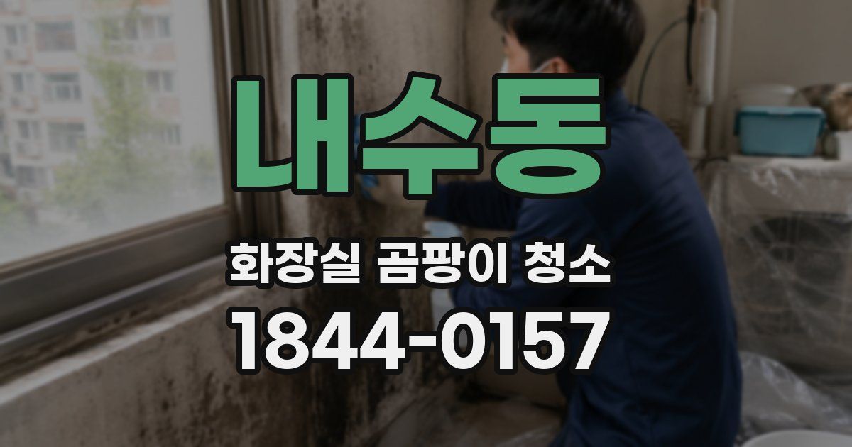 내수동 화장실 곰팡이 청소