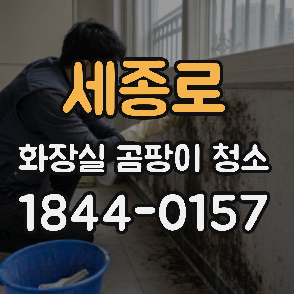 세종로 화장실 곰팡이 청소