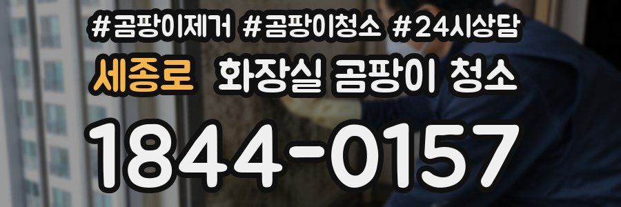 세종로 화장실 곰팡이 청소