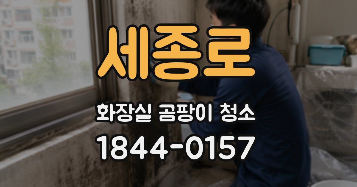 세종로 화장실 곰팡이 청소