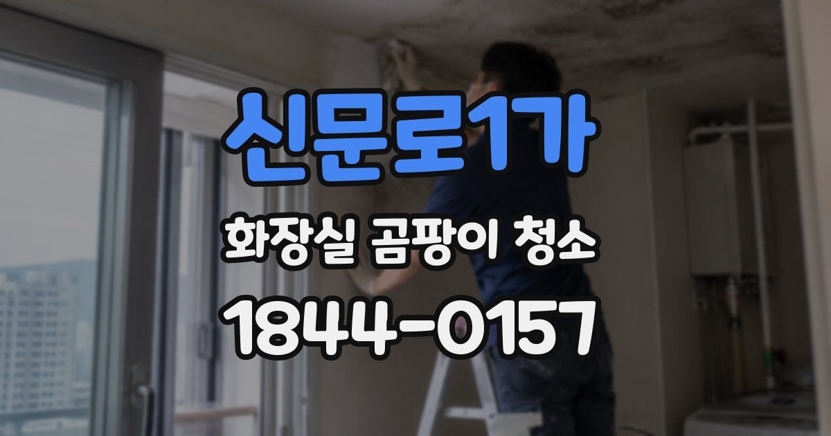 신문로1가 화장실 곰팡이 청소
