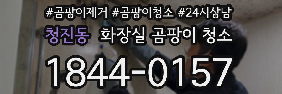 청진동 화장실 곰팡이 청소