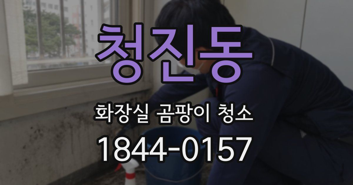 청진동 화장실 곰팡이 청소