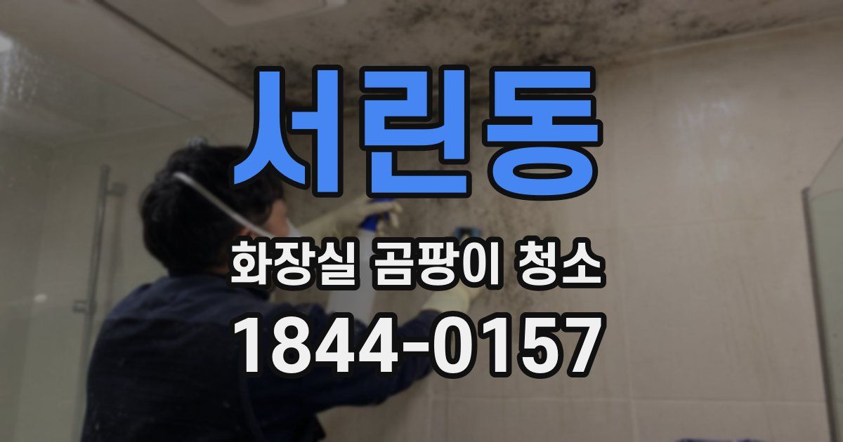서린동 화장실 곰팡이 청소