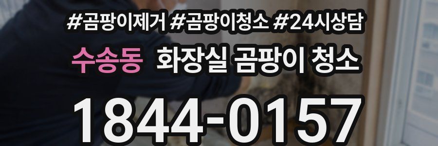 수송동 화장실 곰팡이 청소