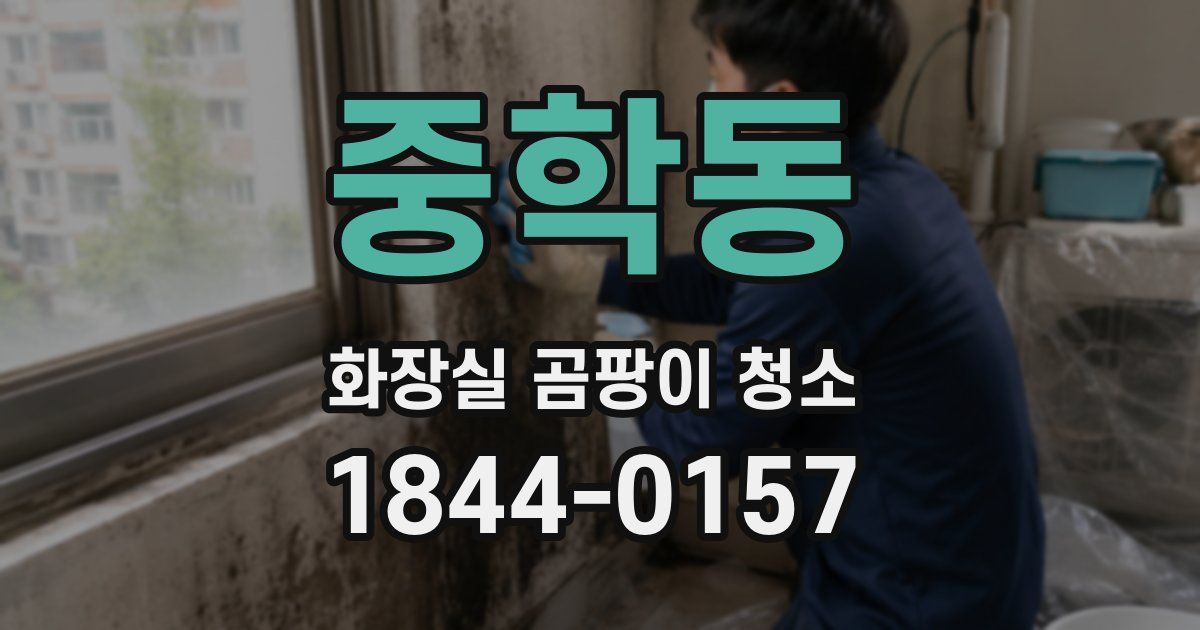 중학동 화장실 곰팡이 청소