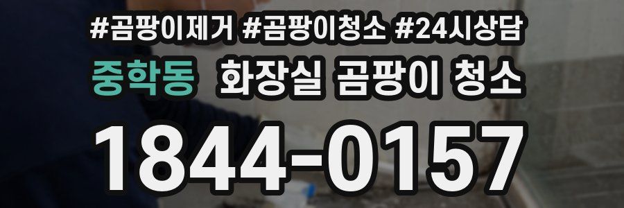 중학동 화장실 곰팡이 청소