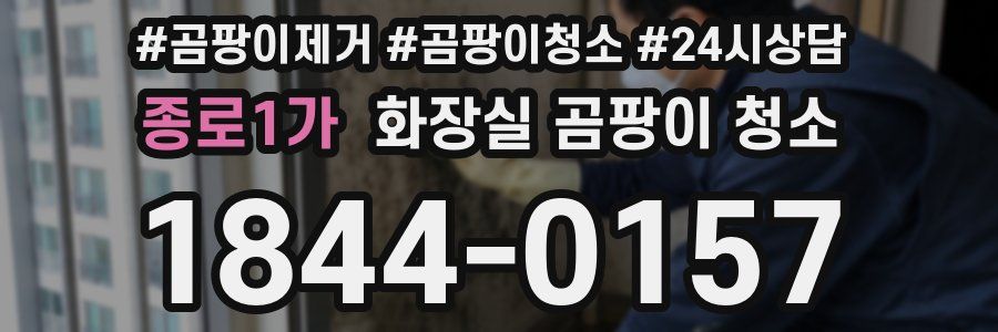 종로1가 화장실 곰팡이 청소