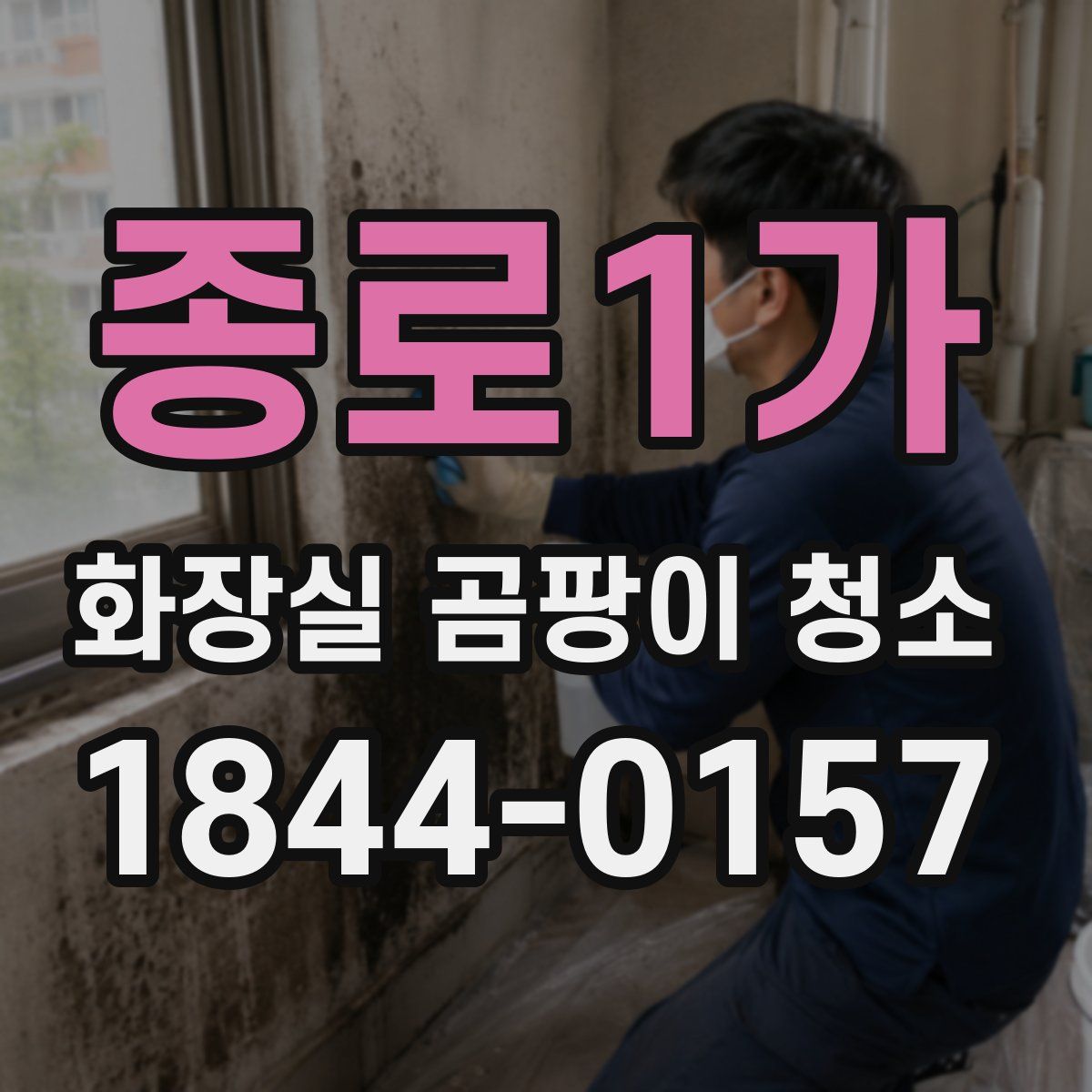 종로1가 화장실 곰팡이 청소