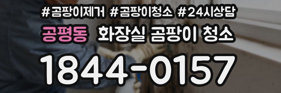 공평동 화장실 곰팡이 청소