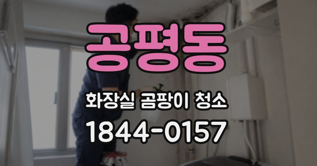 공평동 화장실 곰팡이 청소