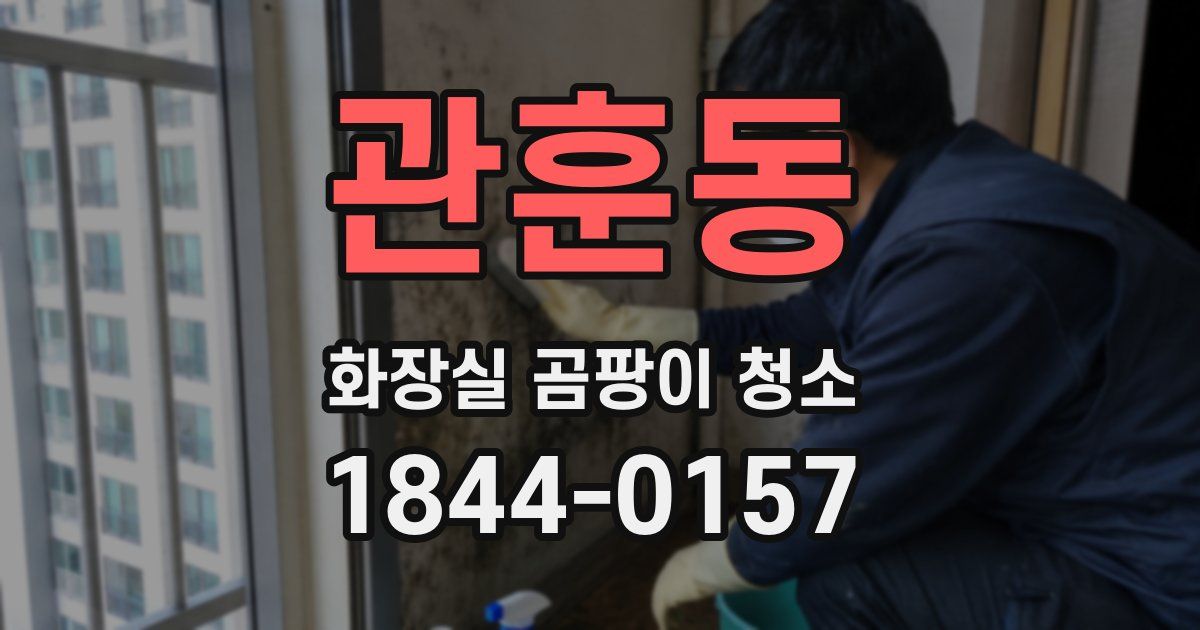 관훈동 화장실 곰팡이 청소