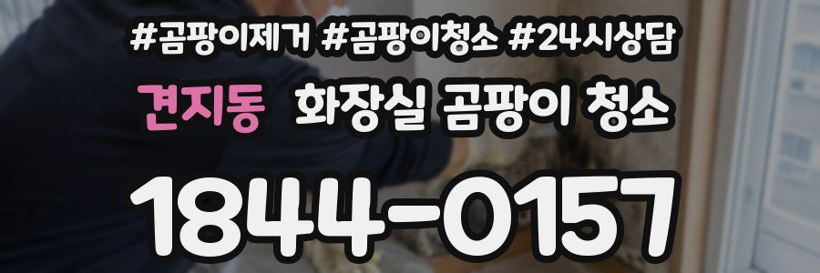 견지동 화장실 곰팡이 청소