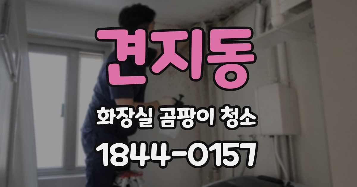 견지동 화장실 곰팡이 청소