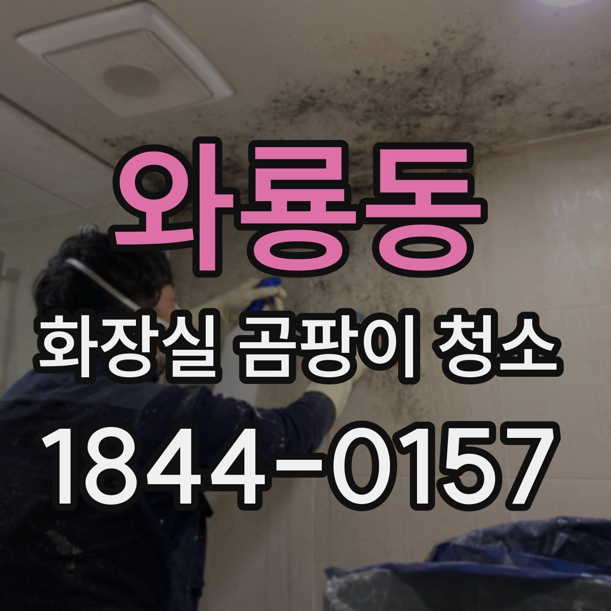 와룡동 화장실 곰팡이 청소 욕실 재질별로 다른 안전한 손질 포인트