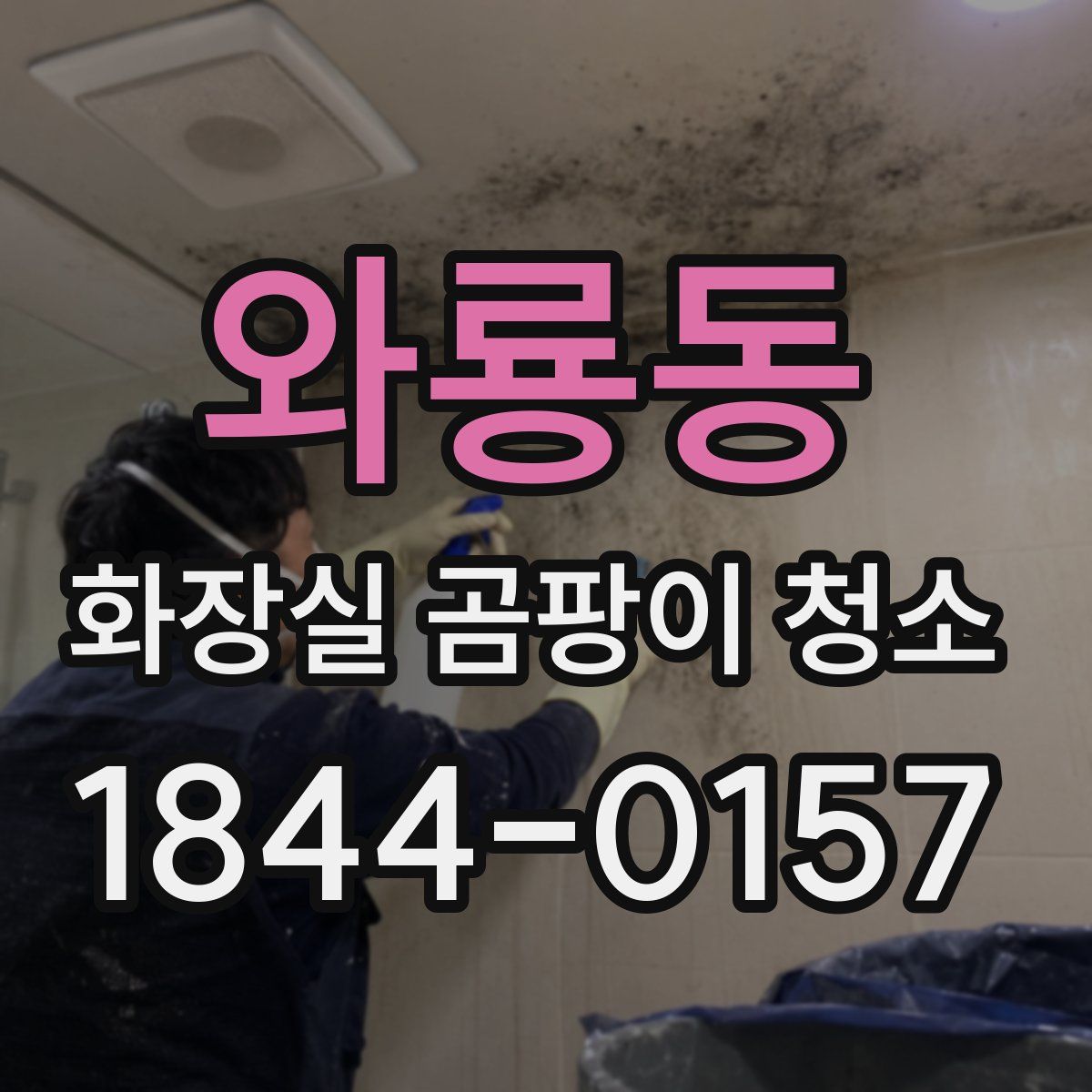 와룡동 화장실 곰팡이 청소