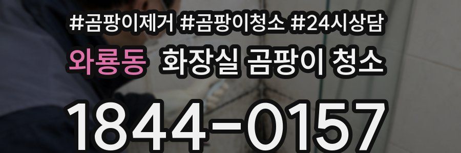 와룡동 화장실 곰팡이 청소