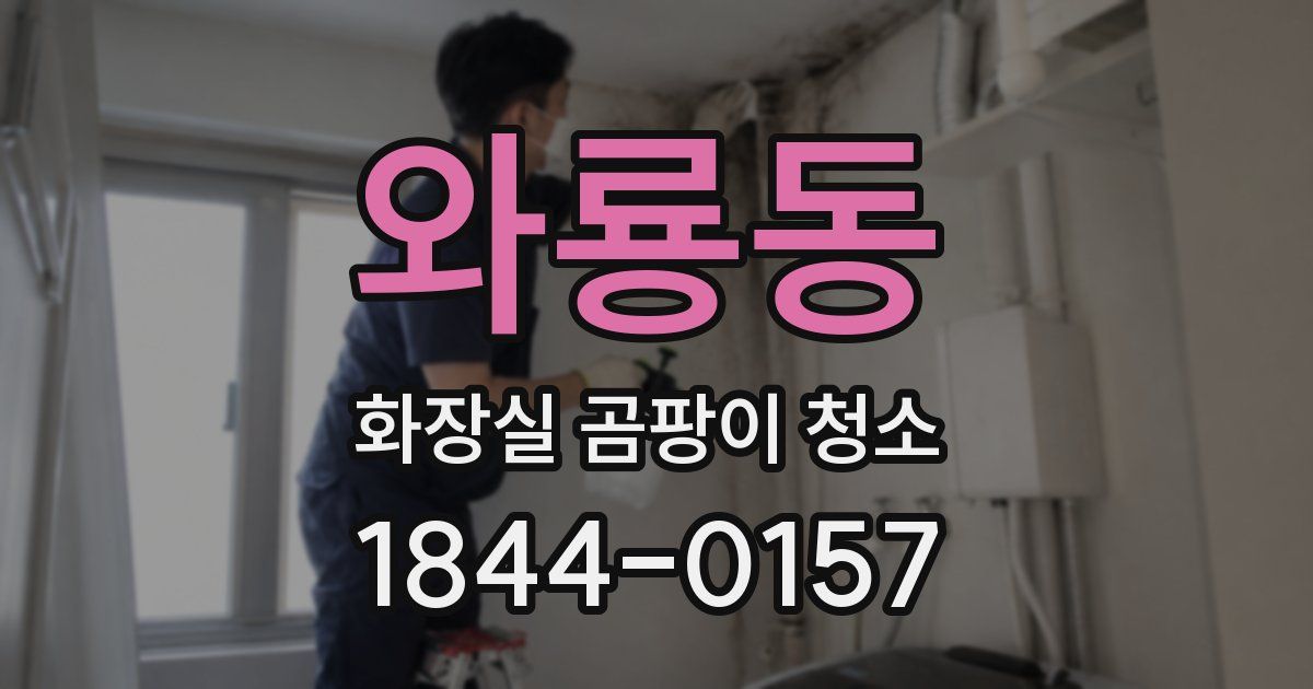 와룡동 화장실 곰팡이 청소